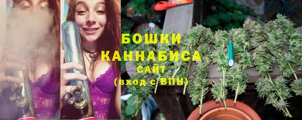 Альфа ПВП Абаза