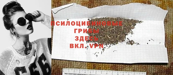 сатива Саяногорск