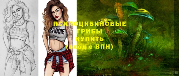 сатива Саяногорск