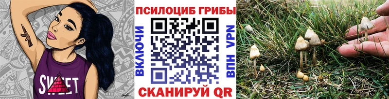 Галлюциногенные грибы GOLDEN TEACHER  Кингисепп 